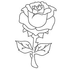 Dibujos de Una Rosa