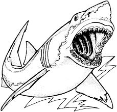 Dibujos de Tiburón Está Atacando