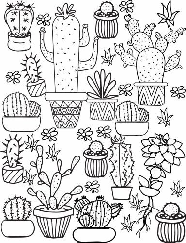 Dibujos de Todo Tipo de Cactus