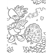 Dibujos de Daisy Con Pavo Real