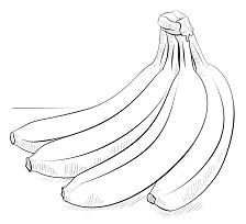 Dibujos de Racimo de Plátanos